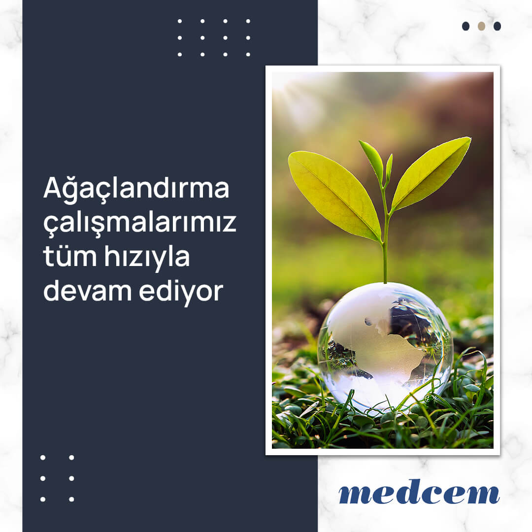 Ağaçlandırma çalışmalarımız tüm hızıyla devam ediyor